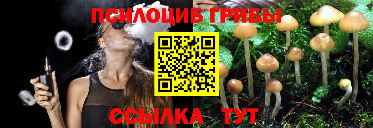 Галлюциногенные грибы Cubensis Елабуга