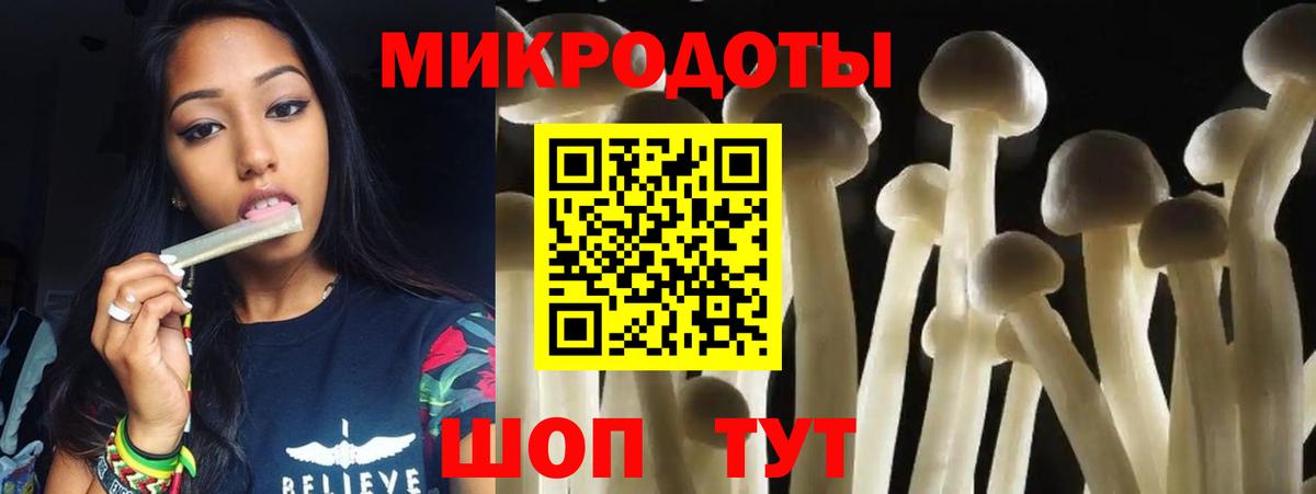 Елабуга  Псилоцибиновые грибы MAGIC MUSHROOMS  Вход с VPN 